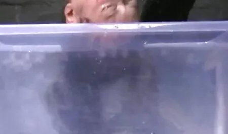 עירום של גבר סקס צפיה ישירה חינם בסאמר קפה
