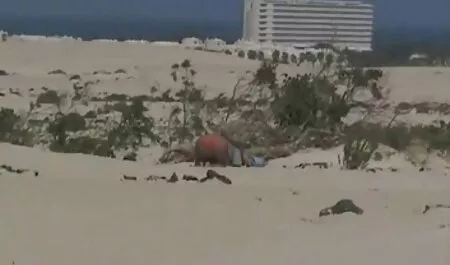 נסה אנאלי לראות ברווז סקס לצפייה חינם והתכווצויות