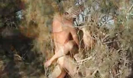 כלבה טובה ביקרה בחור התהילה סרטים כחולים לצפייה ישירה בחינם ועשתה חורים