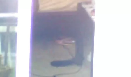Pussycat בגרבונים מצלמות סקס צפייה ישירה חינם
